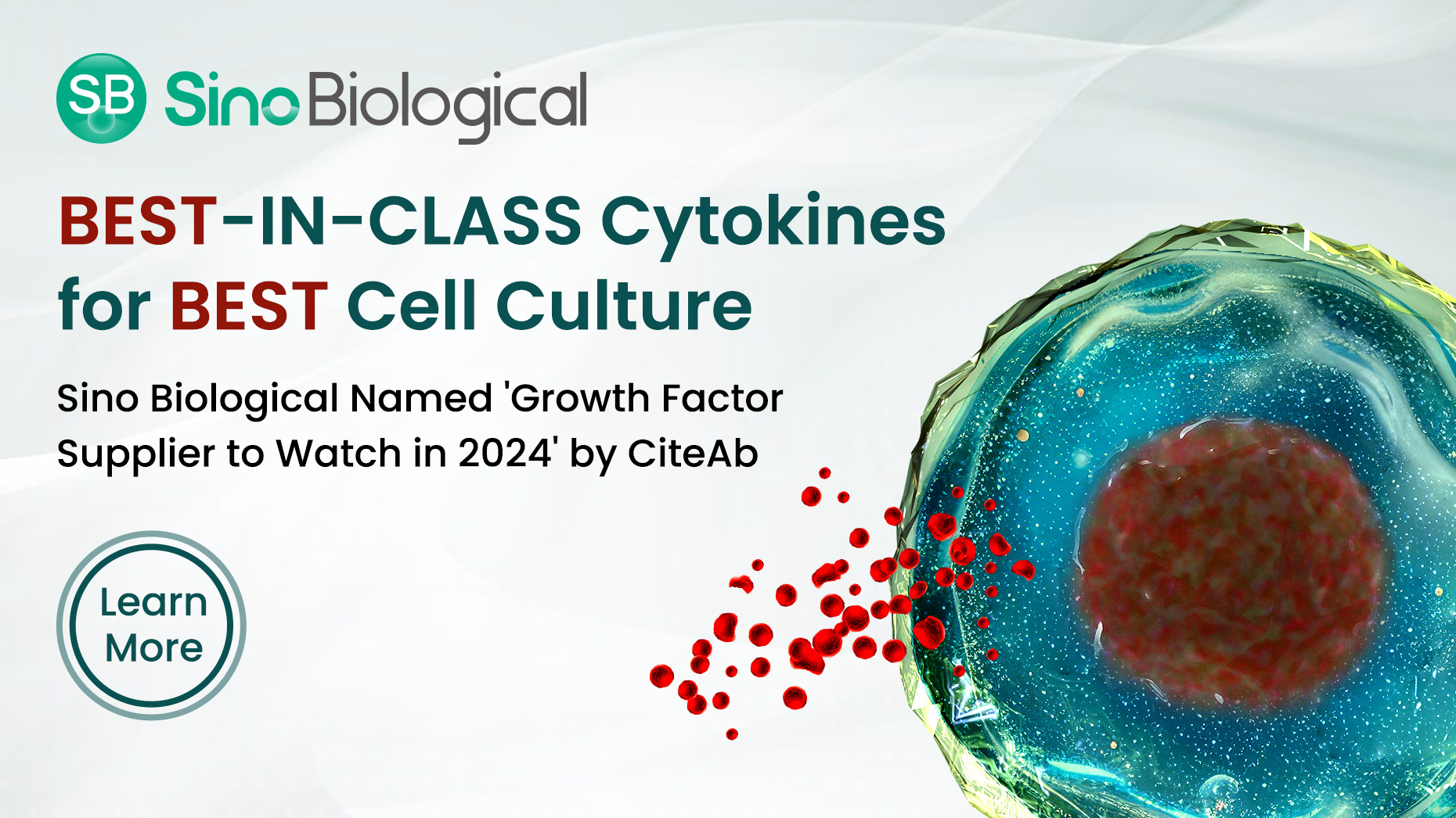 Best In Class Cytokines European Biotechnology Magazine