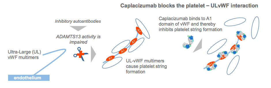 Ablynx Takes Phase III Hurdle In Acquired TTP - European Biotechnology