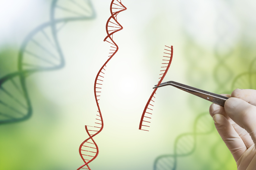 crispr corrects clustered dmd mutations