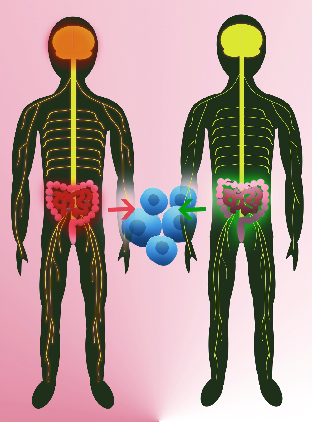 Picture: MPI for Neurobiology