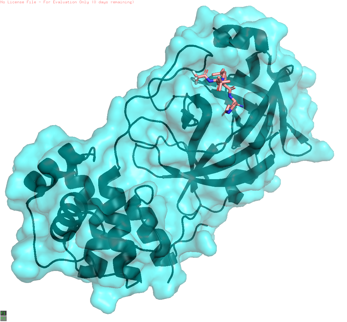 pfizer-licences-paxlovid-to-poor-countries-european-biotechnology