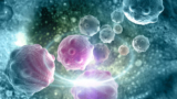 EB-Winter-201__tumour_cell_123rf__Jovanche_Vitanovski_36161037_tg.jpg