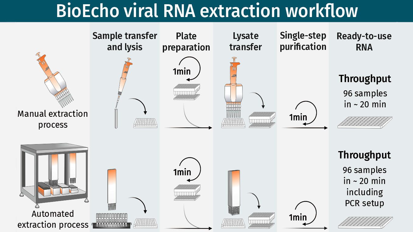 Increase Viral Rna Extraction Throughput With Automation European