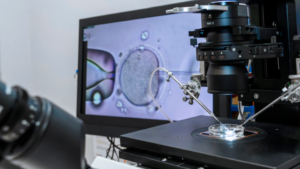 Mitochondrial replacement therapy provides a new option for preventing inheritance of mitochondrial defects.