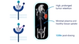 Norwegian Actithera adds the covalent bond to the target to the RLT space (left side) which leads to a improved retention time at the tumor with minimal background over several days