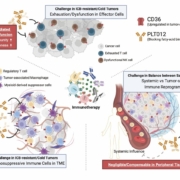 Mode of action of Pilatus Biosciences' monoclonal antibody