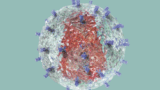 HIV capsid