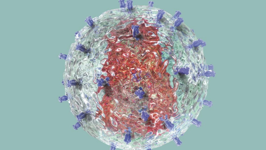 Ragon-Institute-PM HIV capsid