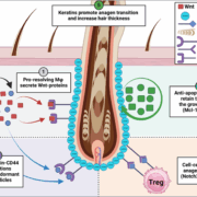 Mode of action of sCD-83