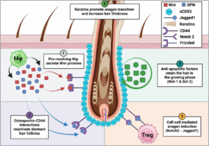 Mode of action of sCD-83