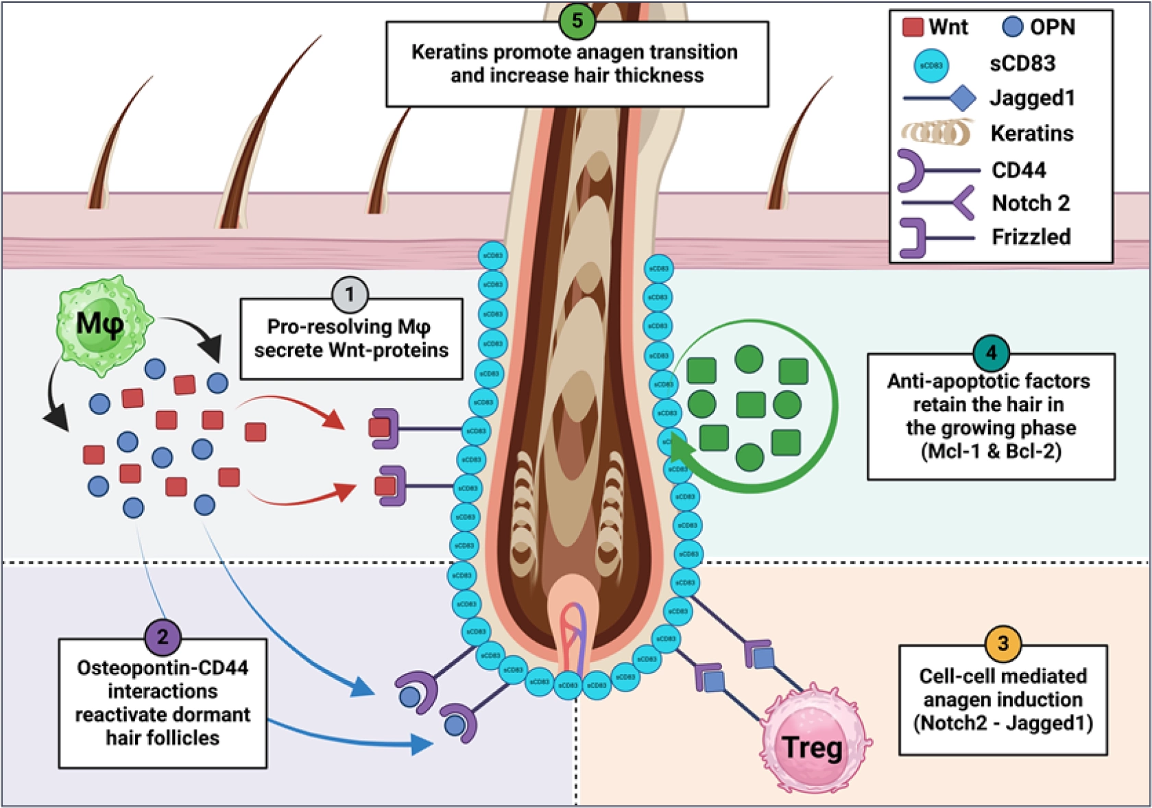 european-biotechnology.com