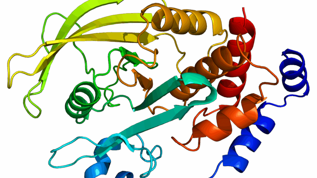 Protein_PTPN2_PDB_1l8k PTPN2 structure