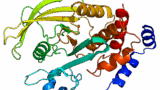PTPN2 structure