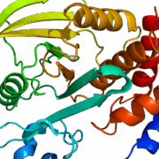 PTPN2 structure