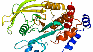 PTPN2 structure