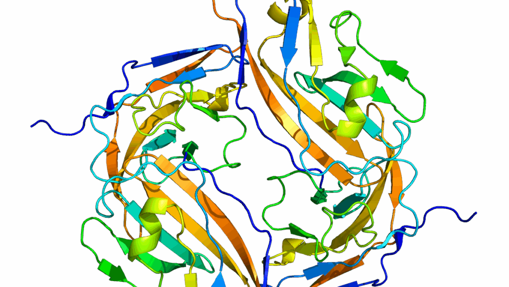 Structure of the CD47 protein