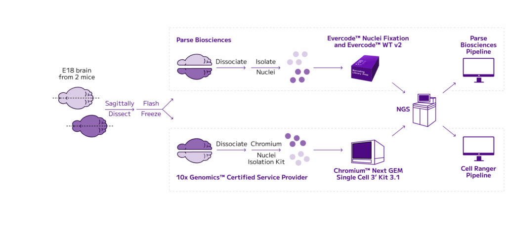 Parse Biosciences' platform