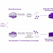 Parse Biosciences' platform
