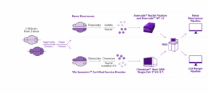 Parse Biosciences' platform
