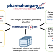 Discovery of miRNA drug candidates and uncovering miRNA-mRNA molecular target network