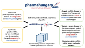 Discovery of miRNA drug candidates and uncovering miRNA-mRNA molecular target network