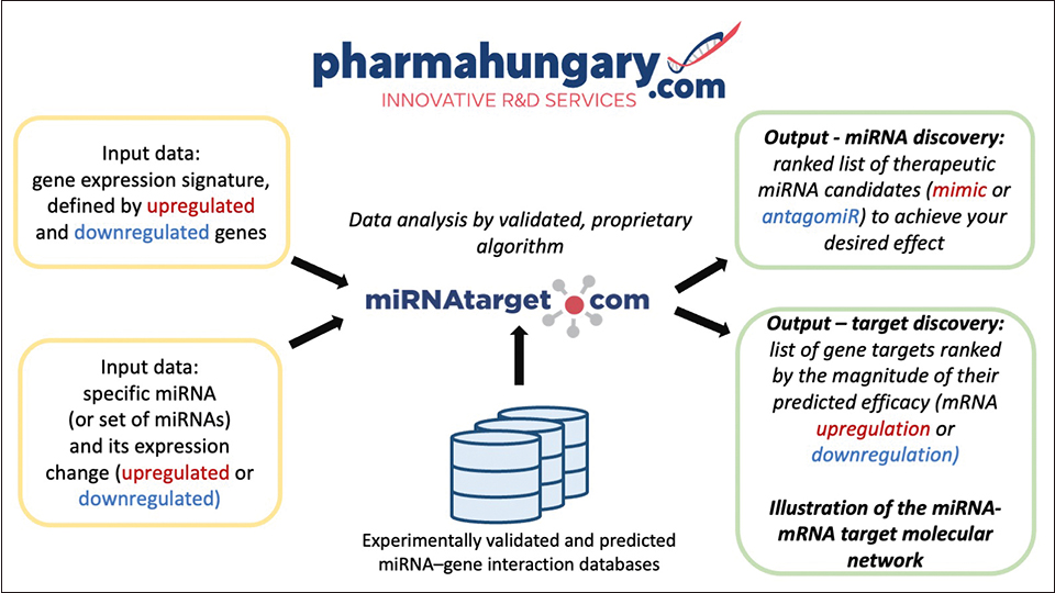 Seite 45_miRNAtarget_commercial_1slide-3Dec2025_NA Discovery of miRNA drug candidates and uncovering miRNA-mRNA molecular target network
