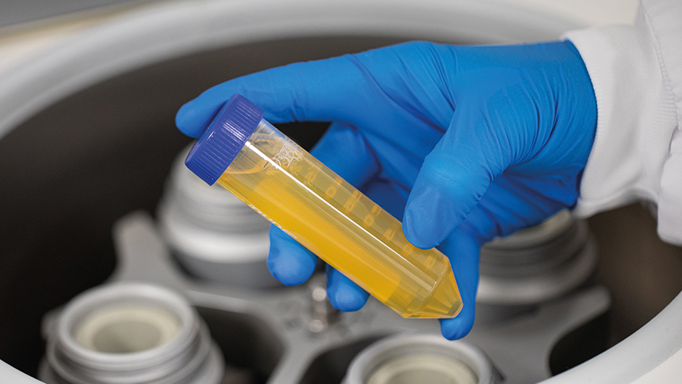 PL BioScience: Pioneering the Future of Cell Culture