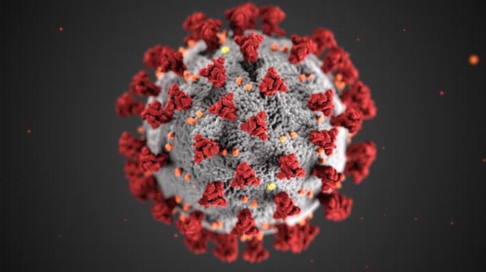 cdc_23311_lores Virus