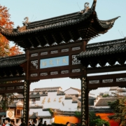 pexels-abdoo-35143804 Image credits: Abderrahmane Habibi on Pexels.