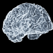 LoQus23 moves Huntington’s disease candidate into development.