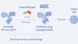araris technology adc web
