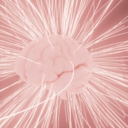 Newron schizophrenia Newron schizophrenia