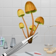 Photo by Igor Omilaev via Unsplash