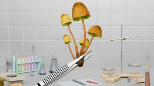 Photo by Igor Omilaev via Unsplash