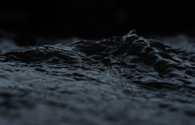 Photo credits: Jacky Nelson