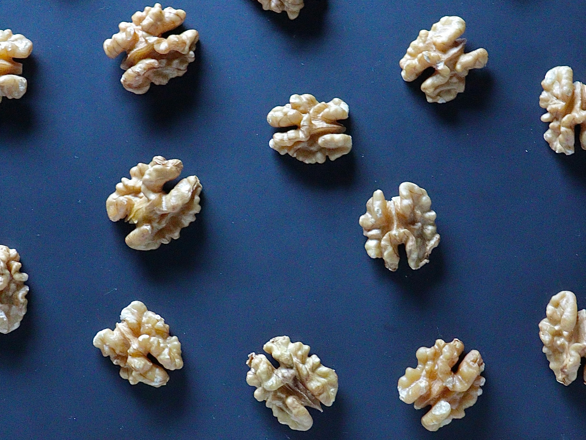 Dublin-based Aerska secures $39M Series A to push RNA medicines into the brain