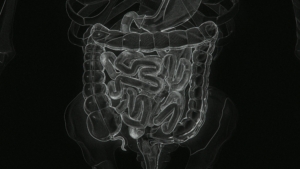PLL Therapeutics ALS