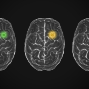 zyanya-citlalli-wBRYgdB3qIs-unsplash Image credits:
Zyanya Citlalli for Unsplash+