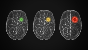 Image credits: 
Zyanya Citlalli for Unsplash+