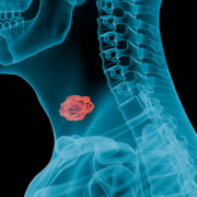 a-chosen-soul-DIFqU-oBCg4-unsplash