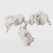 ADC linker technology by Valanx Biotech from Vienna