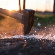 Enodia protein degradation