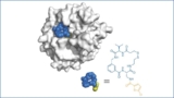 Example of fitting a macrocycle molecule to a pocket of interest
