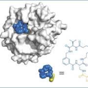 Example of fitting a macrocycle molecule to a pocket of interest