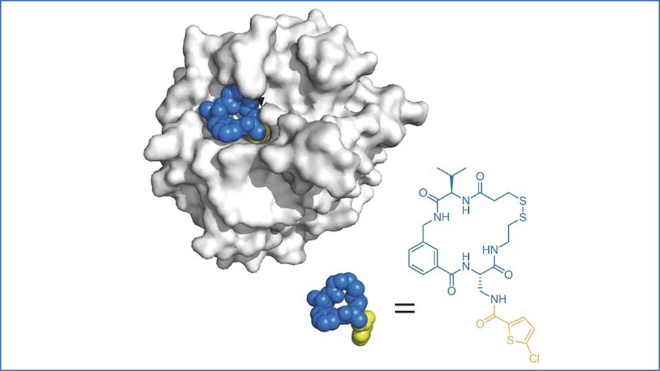 Example of fitting a macrocycle molecule to a pocket of interest