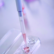 Doctor transferring liquid into a cell dish with precision