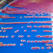 masakazu-sasaki-BEtjbgwEGwg-unsplash