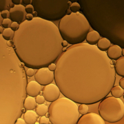 susan-wilkinson-U6mtjikSgC4-unsplash