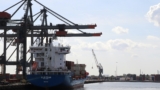 harbour biomed rotterdam