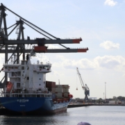 harbour biomed rotterdam